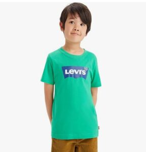 🟢 Camiseta Levi