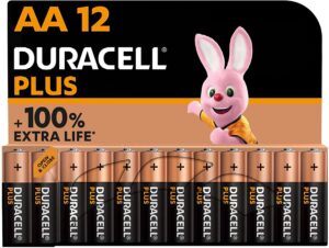 🐟 12 pilas Duracell Plus AA