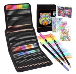 🌟 Estuche con 72 lápices de colores surtidos para adultos y peques.