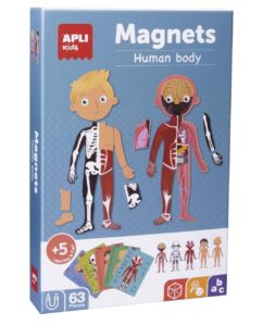 Juego magnético educativo ⭐️ El cuerpo humano