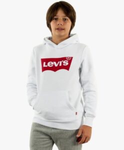 ❣️ Levi