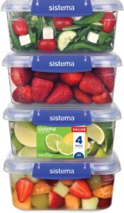 🐟 Juego de 4 recipientes herméticos Sistema para alimentos