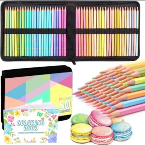 💥 50 lápices de colores pastel Melifluo Macaron