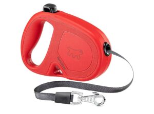 🐕Correa extensible de 4 metros