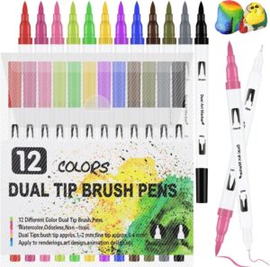 🐟 12 rotuladores de colores con doble punta